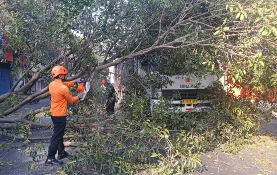 Pasca Pohon Tumbang, Jalur Malang - Blitar Kembali Normal