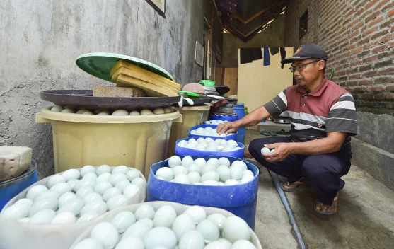 Puluhan Tahun, Kampung Bebek Tawangsari Bertahan Sebagai Sentra Telur Asin
