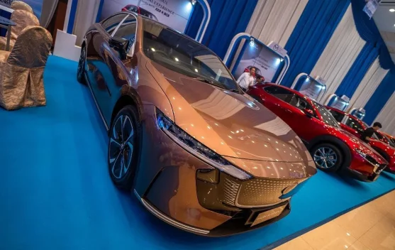 Pakar Jelaskan Standar IP untuk Keamanan Baterai Mobil Listrik