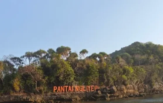 Serunya Menjelajah Pesona Pantai Ngliyep Kabupaten Malang