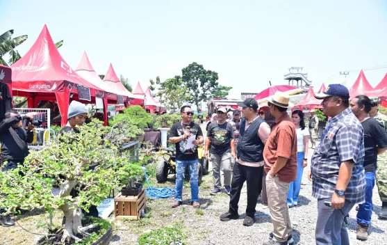 Dorong Flora Endemik Tembus Ekspor, Pamnas Bonsai Pasuruan Dibidik Agenda Tahunan