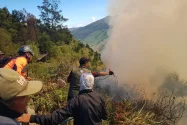 Karhutla Bromo Meluas, Api Dekati Wilayah Kabupaten Malang