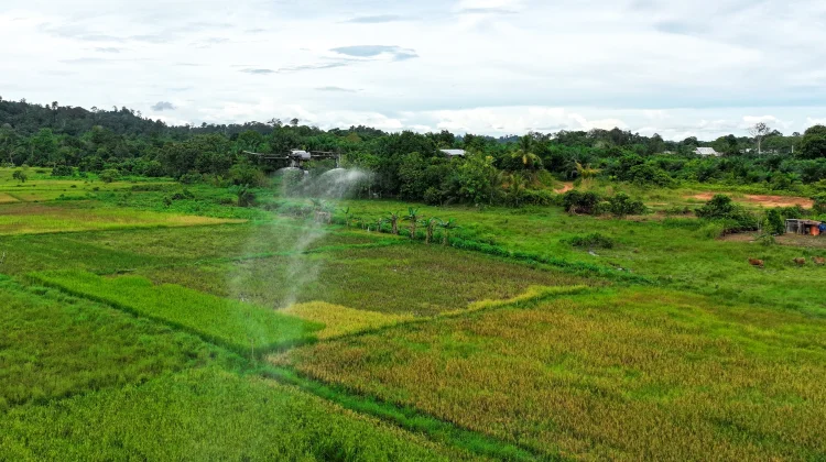 Wabup Dorong Pertanian Modern dan Produk Malinau Tembus Luar Daerah