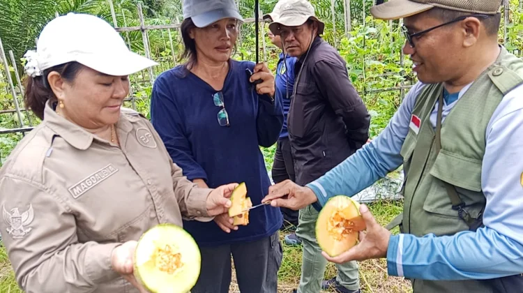 Dorong Produksi Hortikultura, Gandeng PPL Tingkatkan Teknik Budidaya