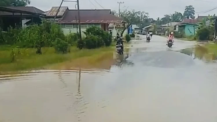 Debit Air Naik, Halaman Warga di Tanjung Lapang Tergenang