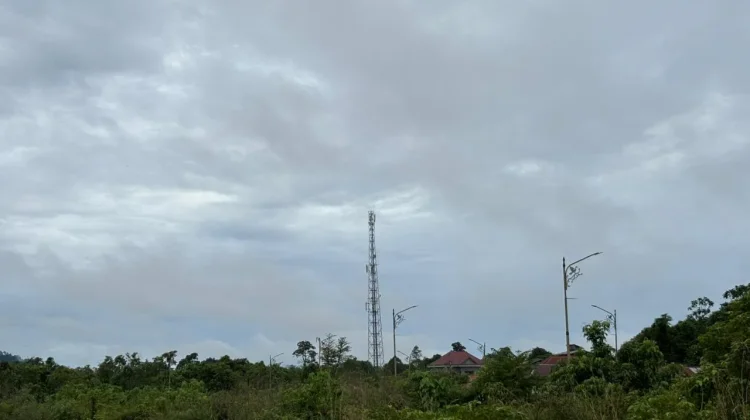 Prakiraan Cuaca Malinau, 19 Maret 2026: Waspada Hujan dan Kabut