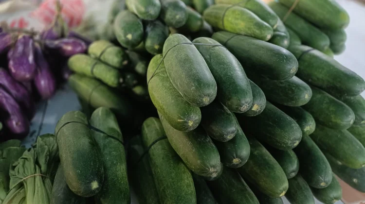 Harga Timun di Pasar Induk Malinau Kembali Normal