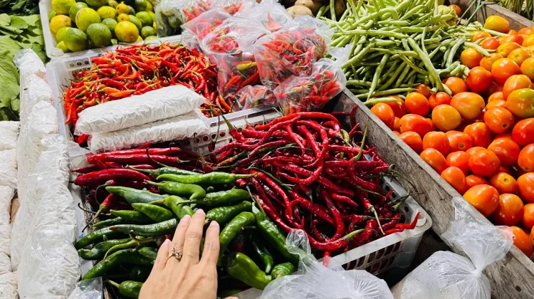Harga Cabai di Malinau Turun, Pembeli Lega