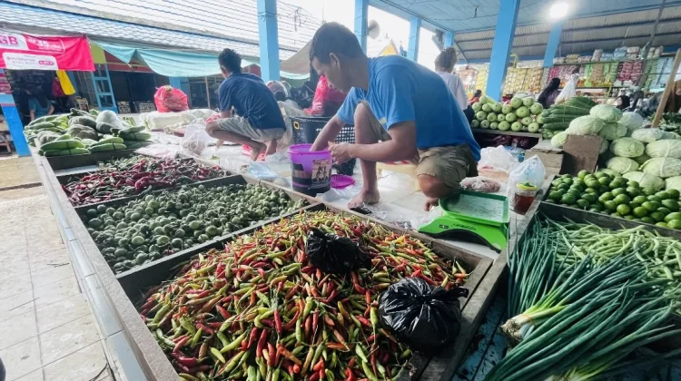 Harga Cabai Rawit di Malinau Rp50.000 Per Kilogram