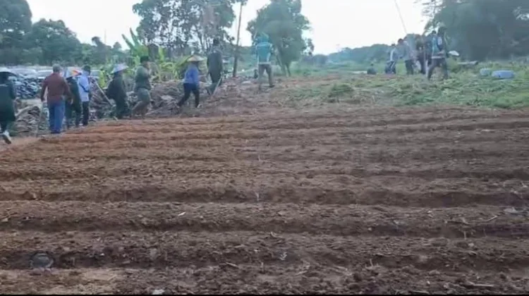 Selain Tingkatkan PAD, Ini Tujuan Penggarapan Lahan Pemerintah di Malinau