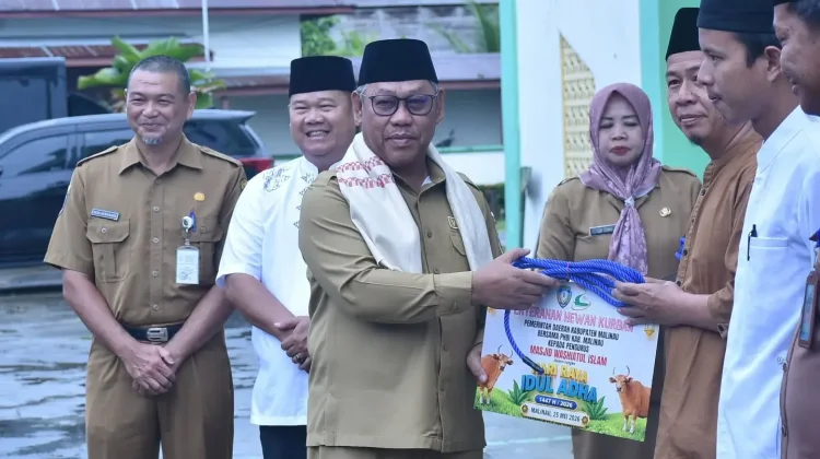 Wabup Ungkap Rasa Syukur, Malinau Kebagian Sapi Kurban dari Presiden RI