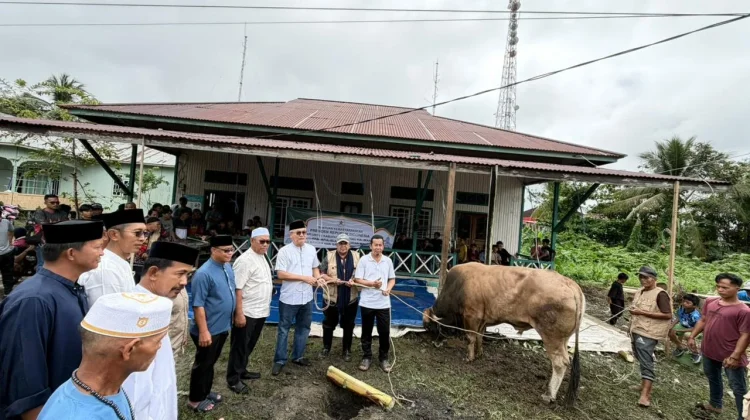 Bupati Salurkan dan Saksikan Penyembelihan Sapi Bantuan Presiden