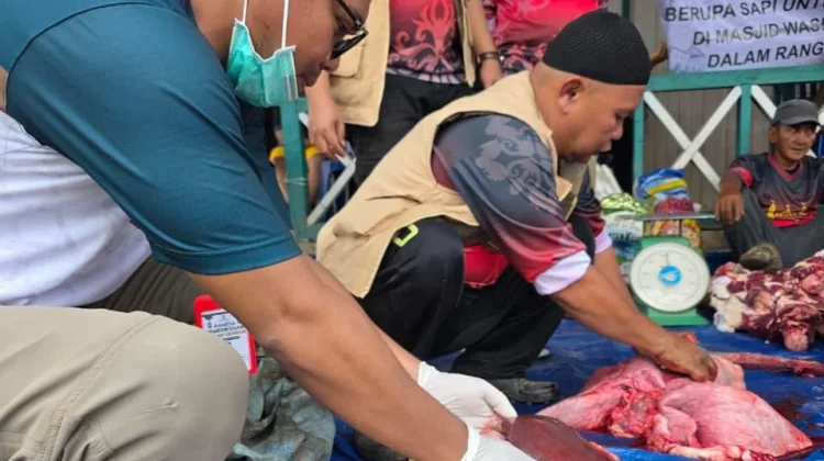 Bidang Peternakan dan Kesehatan Hewan temukan Cacing Hati di Hewan Kurban