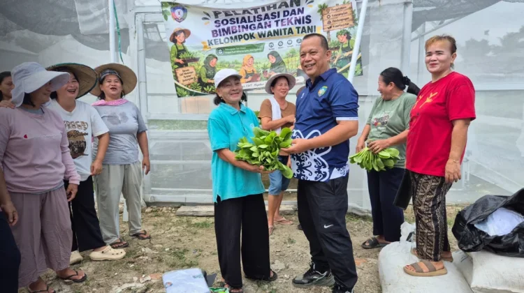 Distapang Dorong Kemandirian Ekonomi Keluarga Melalui Kelompok Wanita Tani