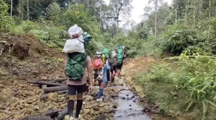 Akses Tak Memadai, Warga Long Sule Tempuh Puluhan Kilometer Berjalan Kaki