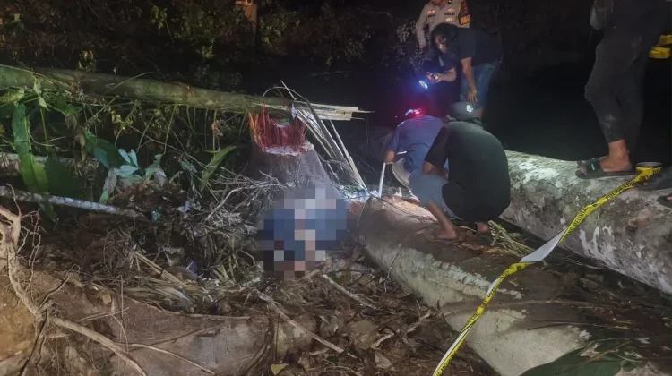 Seorang Pekerja Tewas Tertimpa Pohon saat Buka Lahan di Malinau Barat