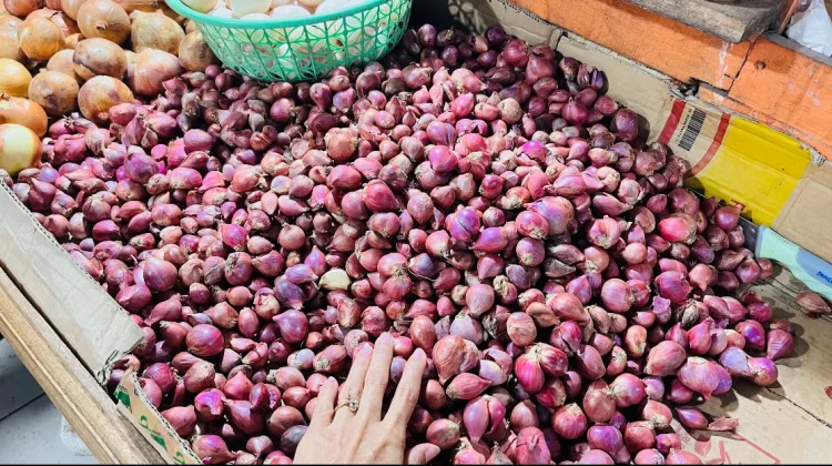 Pasokan Seret, Harga Bawang Merah di Malinau Naik