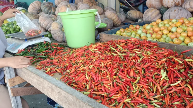 Harga Cabai Masih Bertahan di Rp85 Ribu per Kilogram