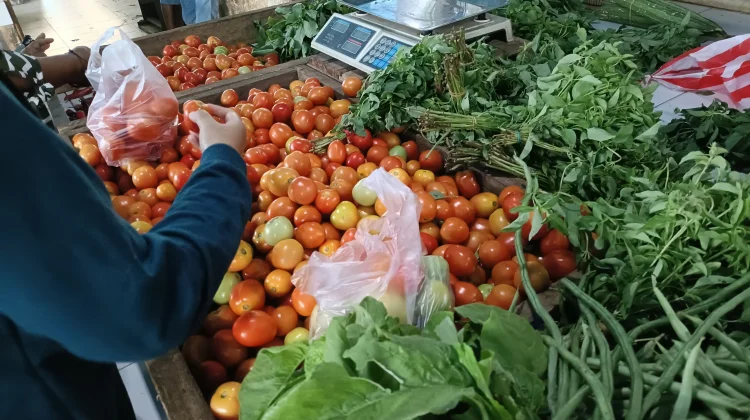 Harga Tomat Turun ke Rp25 Ribu per Kilogram, namun Masih Dinilai Mahal