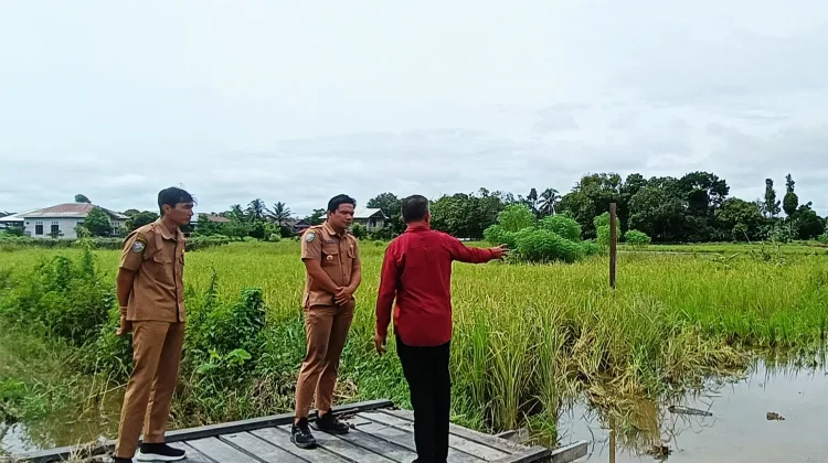 Kades Ega Tinjau Lokasi Balai Adat Baya Intamu