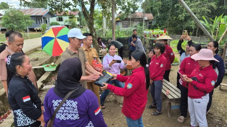 Pendampingan KWT Pascabanjir, Dinas Ketahanan Pangan Salurkan Bibit