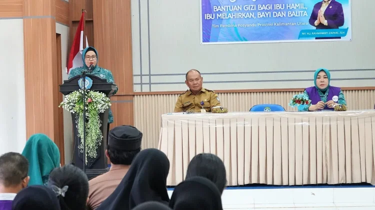 Malinau Apresiasi Dukungan Provinsi Perkuat Posyandu
