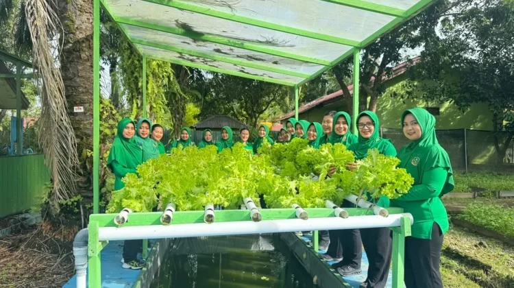 Panen Sayuran, Wujud Nyata Persit Yonif 614 Dukung Ketahanan Pangan