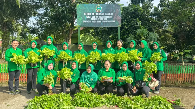 Panen Sayuran, Wujud Nyata Persit Yonif 614 Dukung Ketahanan Pangan