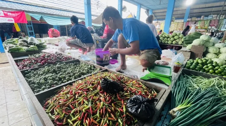 Harga Cabai di Malinau Fluktuatif, Komoditas Lain Stabil