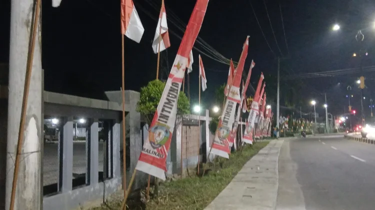 Sambut HUT RI ke-81, PLN ULP Malinau Ingatkan Jaga Jarak Aman dari Jaringan Listrik