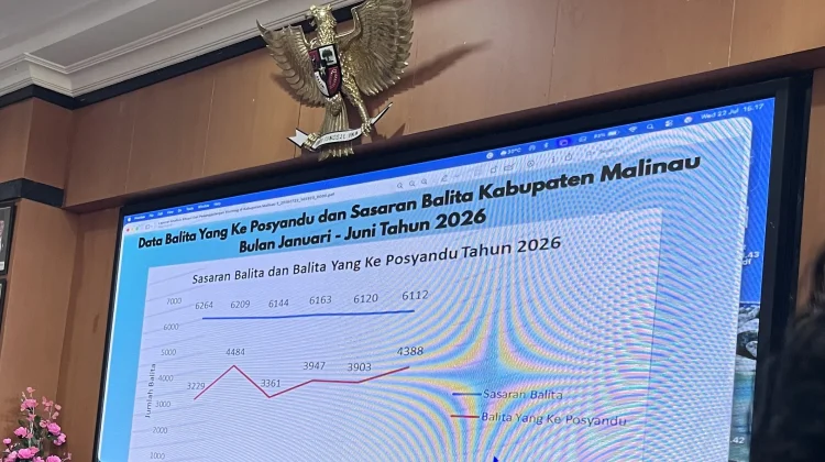 Setengah Sasaran Balita di Malinau Absen Penimbangan Posyandu