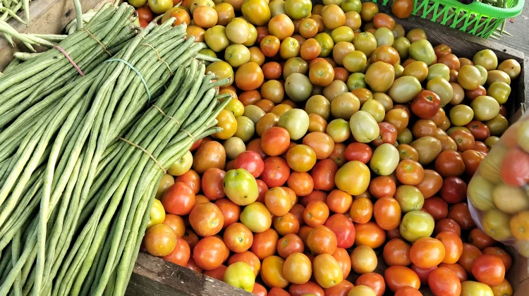 Tomat Melimpah, Harga di Pasar Induk Malinau Turun hingga Rp10 Ribu