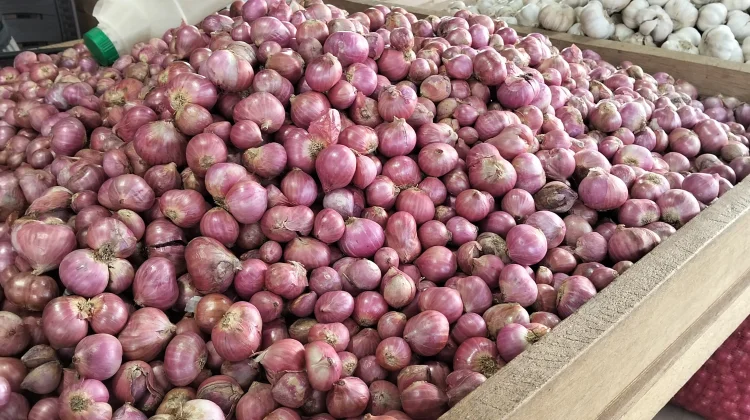 Harga Bawang Kembali Normal, Bawang Merah Mulai Rp37 Ribu per Kilogram