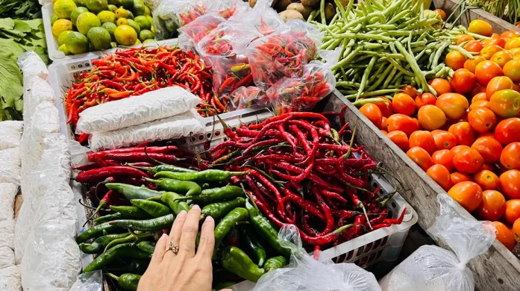 Harga Cabai Merah Besar di Malinau Naik Rp16.250 per Kilogram