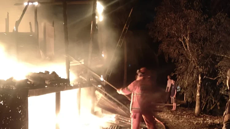 Karhutla Meluas di Indonesia, Damkar Malinau Larang Bakar Lahan