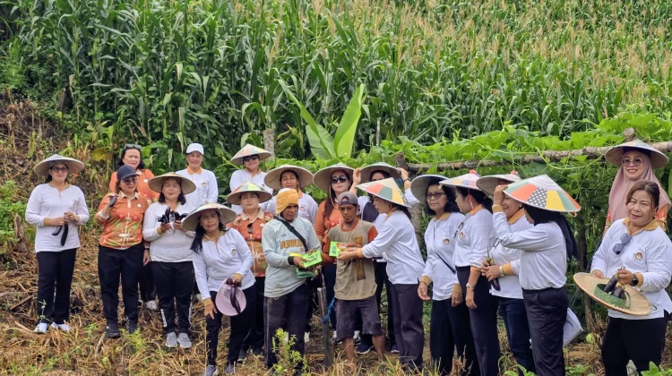 DWP Malinau Gelar Panen Sayur Bersama dan Bagikan Bibit kepada Petani