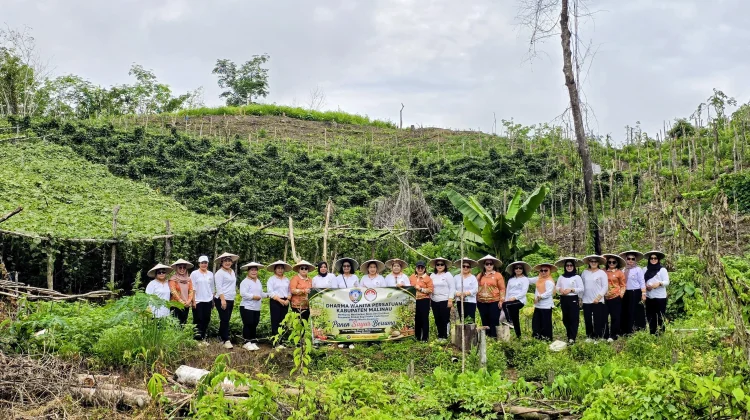 DWP Malinau Gelar Panen Sayur Bersama dan Bagikan Bibit kepada Petani