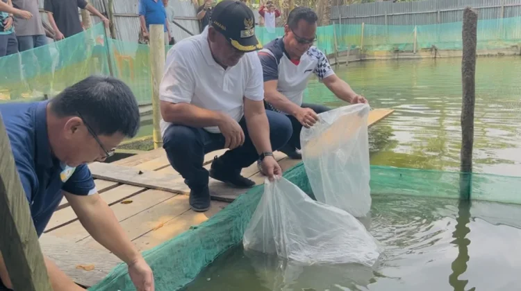 Pemkab Malinau Salurkan Bantuan 159 Ribu Benih Ikan