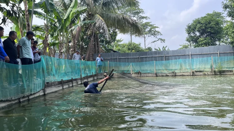 Dua Kecamatan Topang Kebutuhan Perikanan Darat Malinau