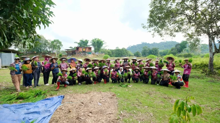 Gerakan Tanam Padi Bersama Wujud Dukungan Program PESAT Malinau