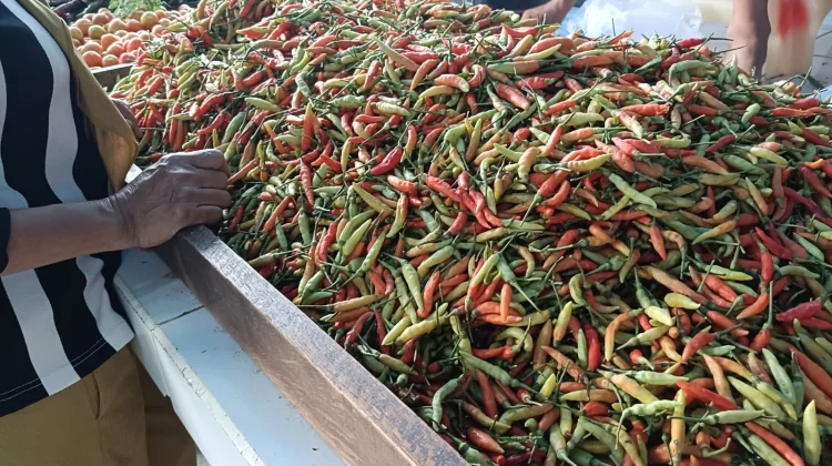 Harga Cabai Rawit Merah di Malinau Naik Signifikan
