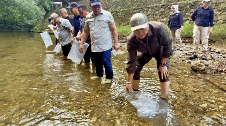 Jaga Ekosistem Sekaligus Tarik Wisatawan, 7.000 Bibit Ikan Ditebar di Semolon