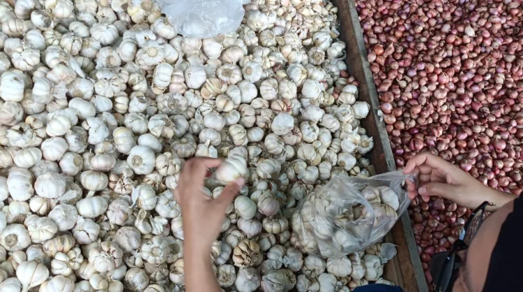 Harga Bawang Merah dan Bawang Putih Masih Relatif Normal di Pasar Induk Malinau