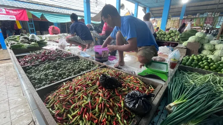 Harga Cabai di Pasar Induk Malinau Turun, Konsumen : Masih Mahal