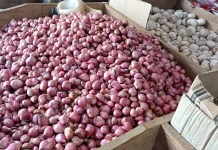 Harga Bawang di Malinau Masih Stabil
