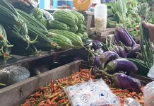 Pasokan Terbatas, Harga Sayur Naik di Malinau