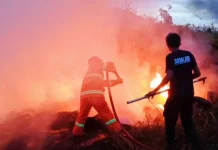 Asap Membubung Tinggi Belakang Pusat Pemerintahan Picu Kekhawatiran Warga