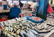 Harga Ikan di Malinau Naik, Cabai Turun