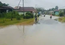 Debit Air Naik, Halaman Warga di Tanjung Lapang Tergenang