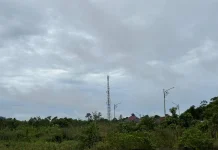 Prakiraan Cuaca Malinau, 19 Maret 2026: Waspada Hujan dan Kabut